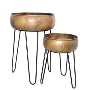 Shu Lieber and Agi Neiger's Wedding Registry on Zola