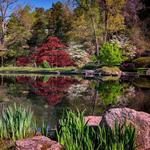 Maymont Japanese Garden
