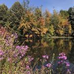 Kathryn Albertson Park