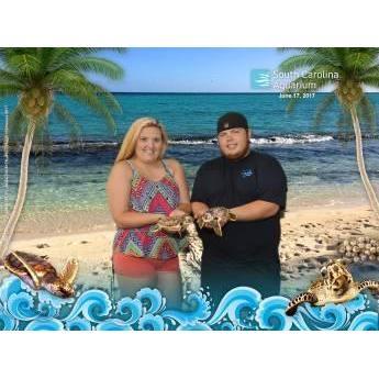 Save the Sea Turtles