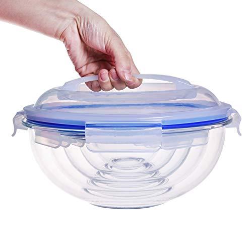 HT Burg 10-Piece Nesting Glass Mixing/Storage Bowls with Leak proof airtight Snap locking lids