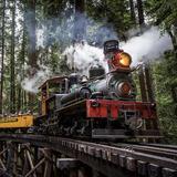 Roaring Camp Train Depot
