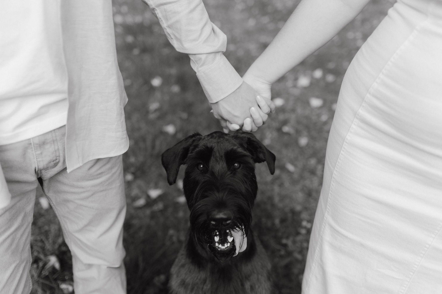 The Wedding Website of Victoria Young and Dylan Bringleson