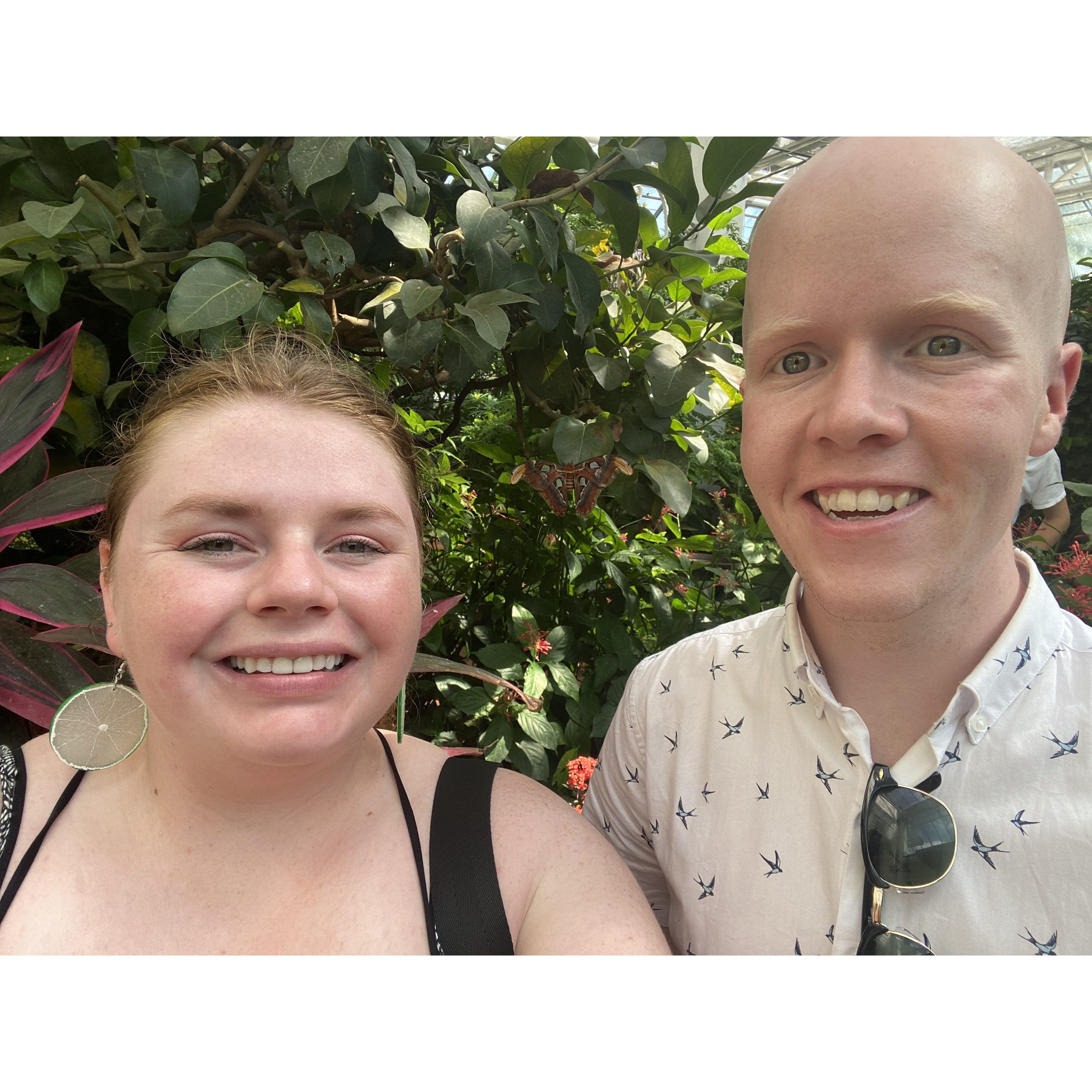 In the Key West Butterfly and Nature Conservatory