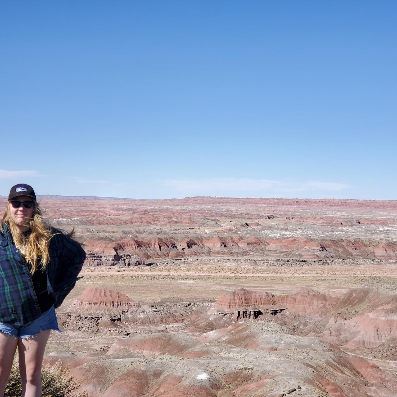 Road Trip 2019 (Petrified Forest National Park)