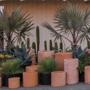 Flora Grubb Gardens Gift Certificates. The perfect gift for anyone who loves plants. — Flora Grubb Gardens Plant Nursery