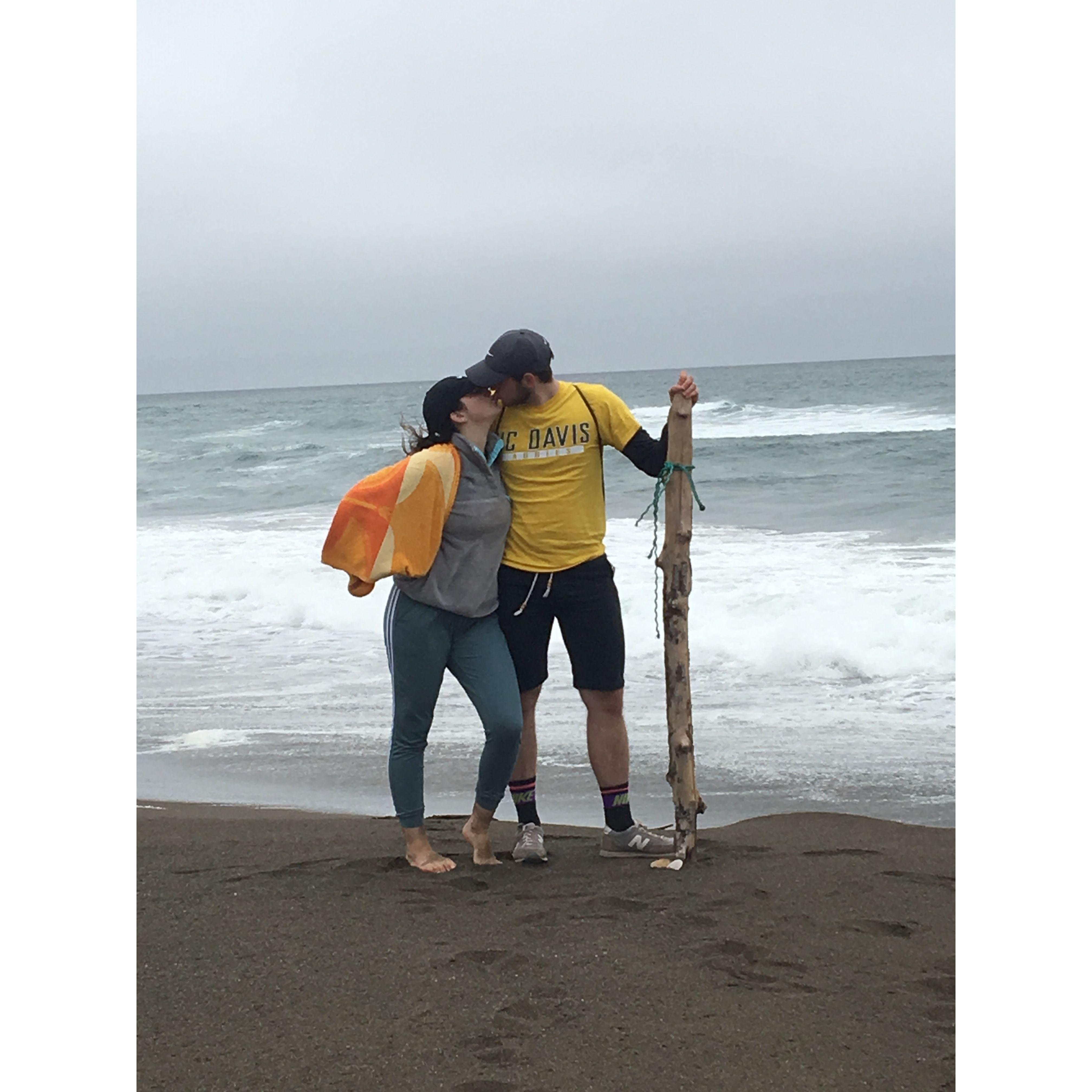 Manchester State Beach, June 2018