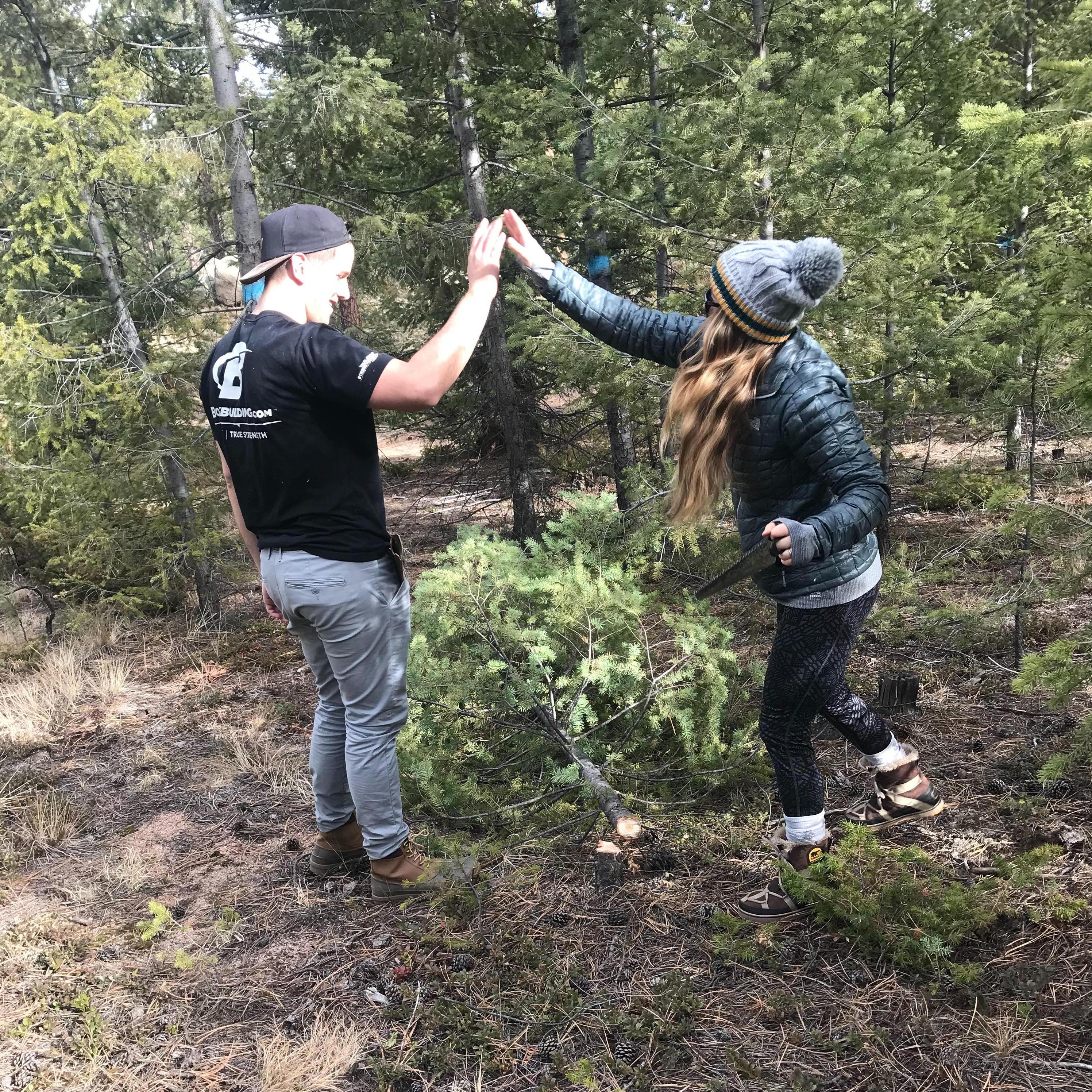 Cutting down our first Christmas tree! 2017