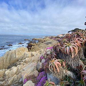 Our Honeymoon Fund to Monterey