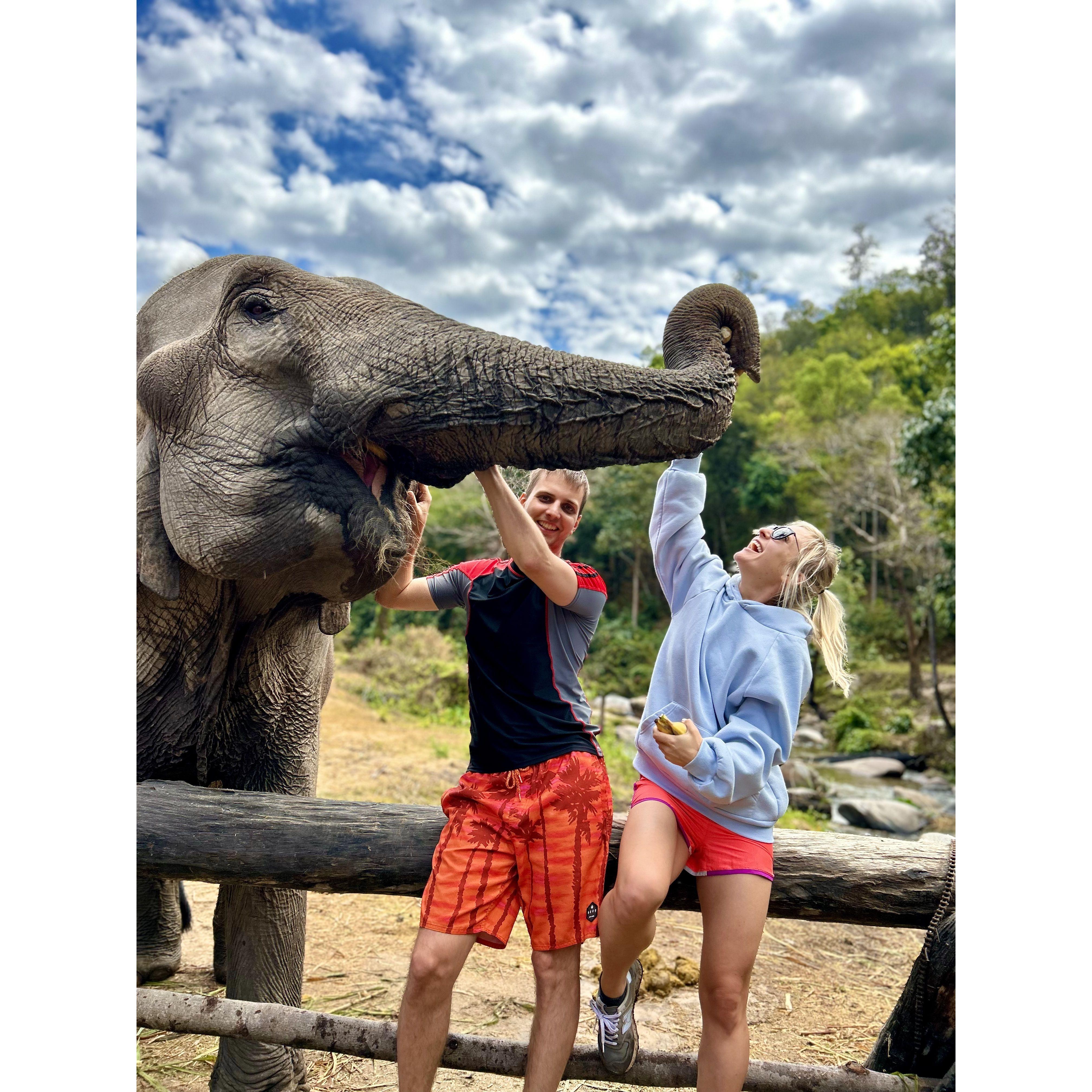 The one with elephants in Thailand / Эпизод со слонами в Таиланде / Das eine mit den Elefanten in Thailand