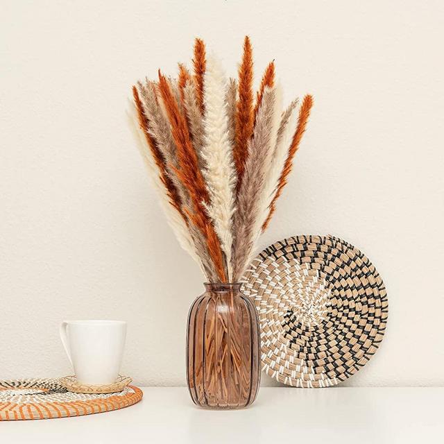 50 Naturally Dried Tall Fluffy Pampas Grass | Real Flowers | 50 cm | White | Natural | Coffee | Home Decor, Flower Arrangements, Vase Filler, Weddings, Kitchen, Boho, Party Decoration, Event Decor
