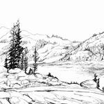 Burlington Bike Park