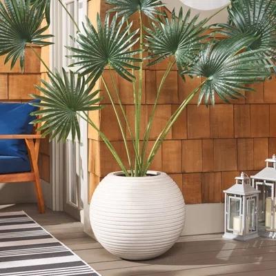 Waikiki Planter Pot | AllModern
