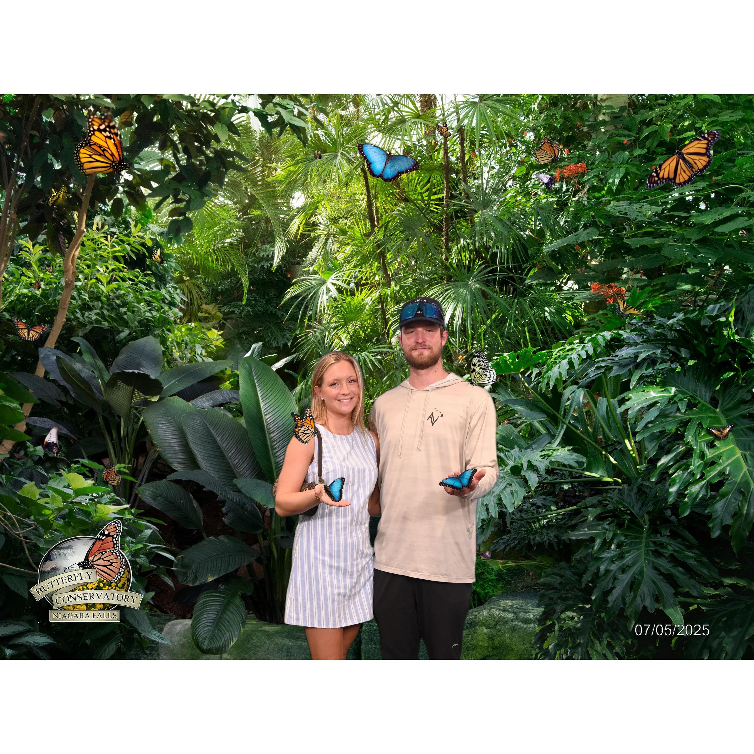 Butterfly Conservatory