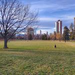 Cheesman Park