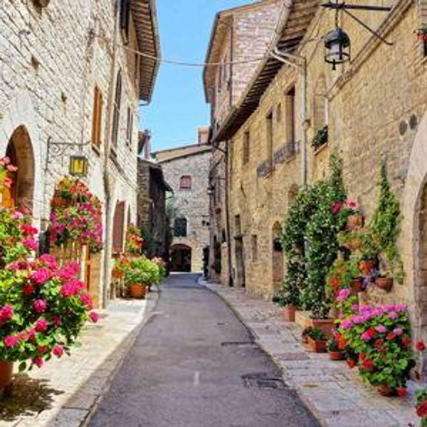 Lost in Italy Fund