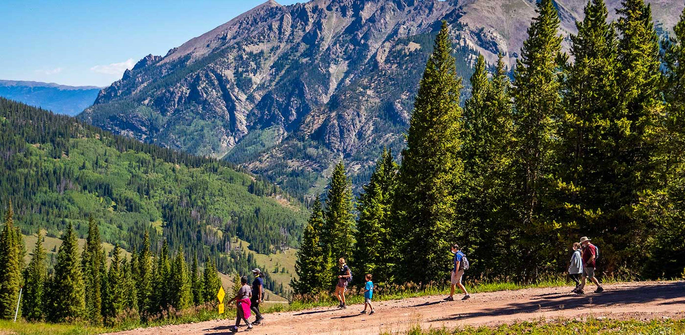 The Wedding Website of Sydney Dawkins and Chris Sartain