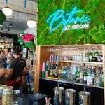 GROW Plant Bar