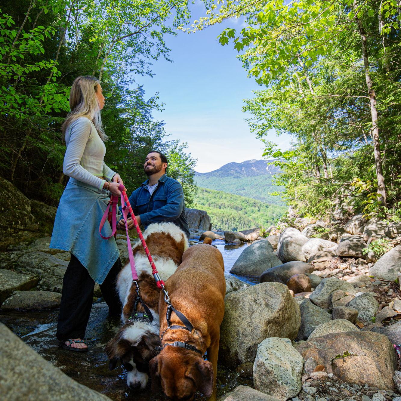 2024: A mountaintop, a waterfall, our dogs, and a yes that changed everything.