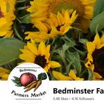 Bedminster Farmers Market