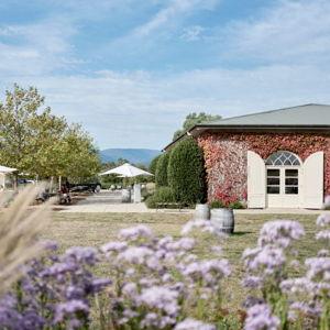 Wine tasting in the Yarra Valley