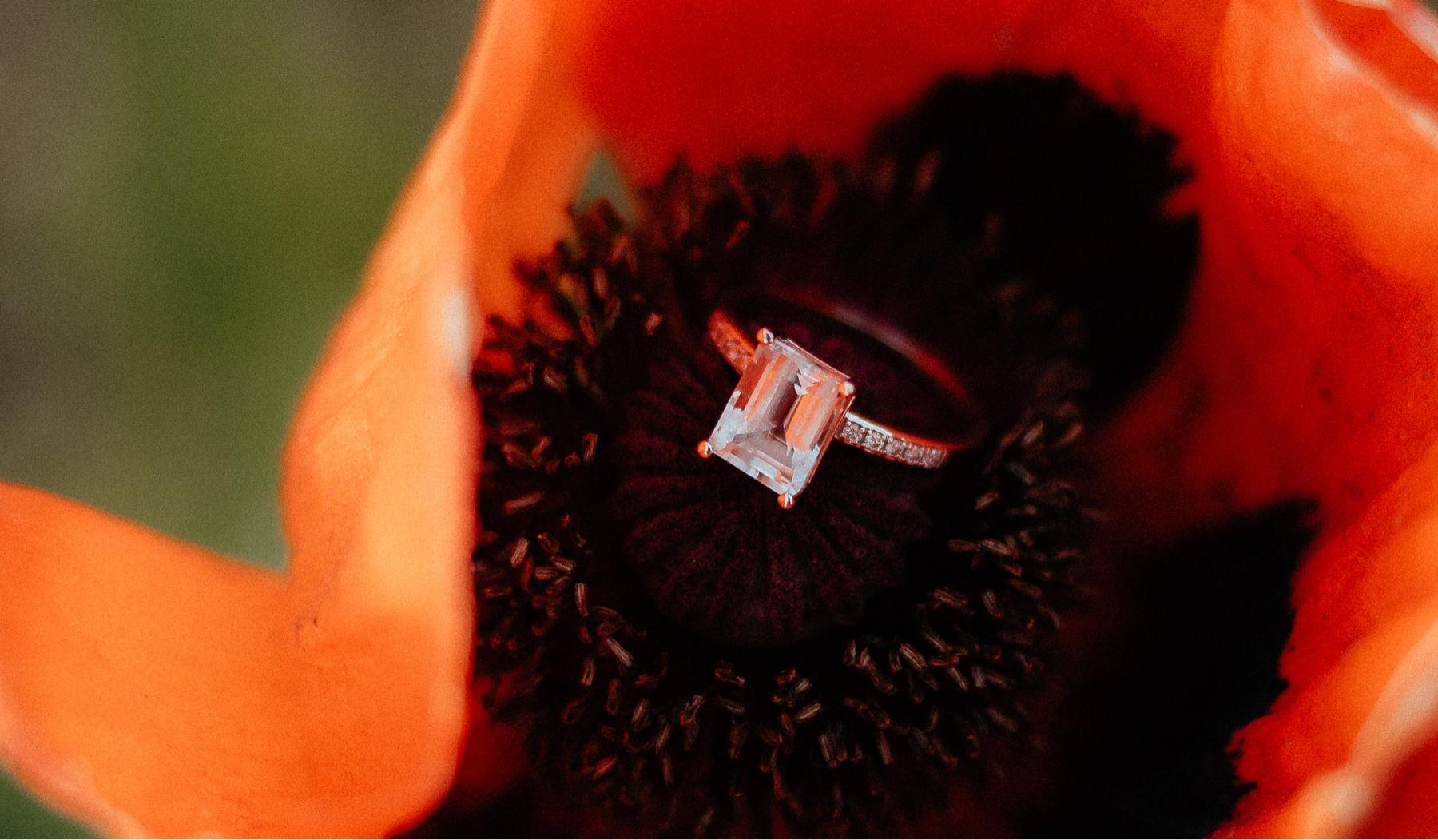 The Wedding Website of Amanda Taylor and Clayton Sweat