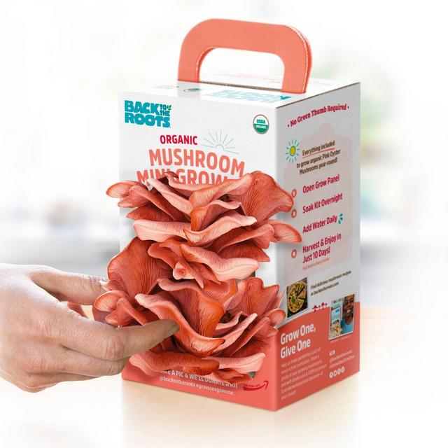 Back to the Roots Organic Mushroom Mini Grow Kit Pink Oyster