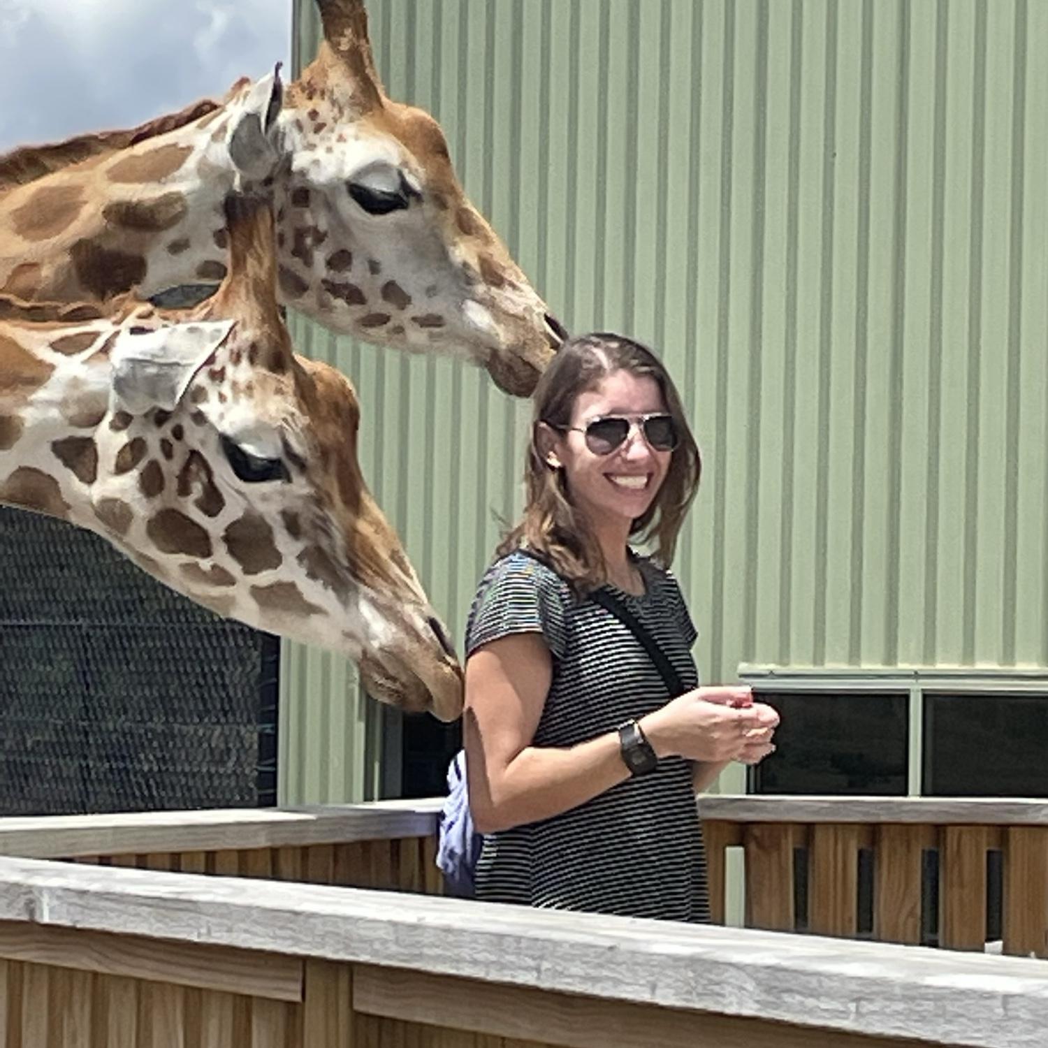 Giraffe experience at Tasmania’s Zoo!