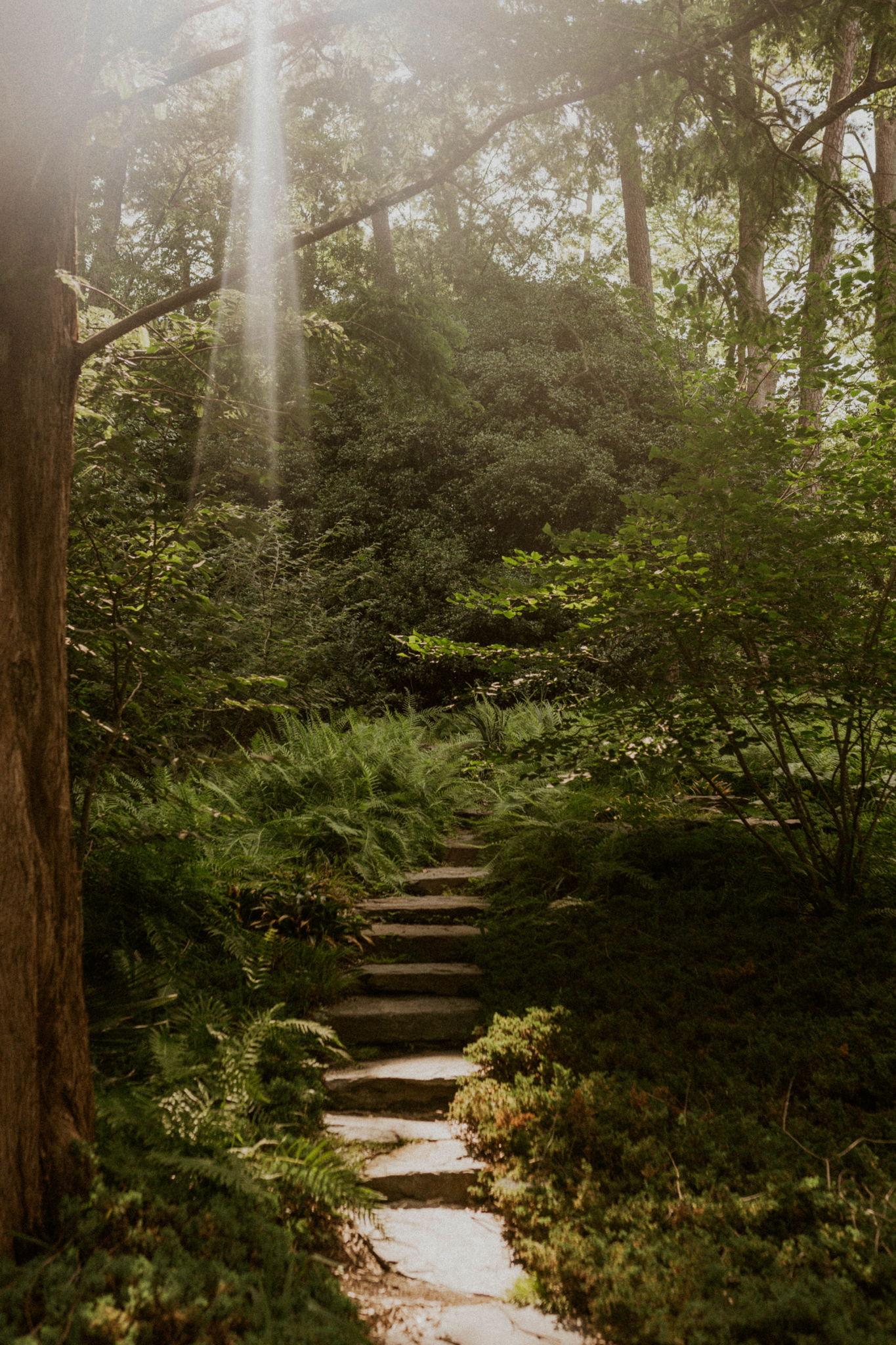 The Wedding Website of Emily Carletto and Nicholas Mayo