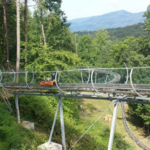 Smoky Mountain Alpine Coaster
