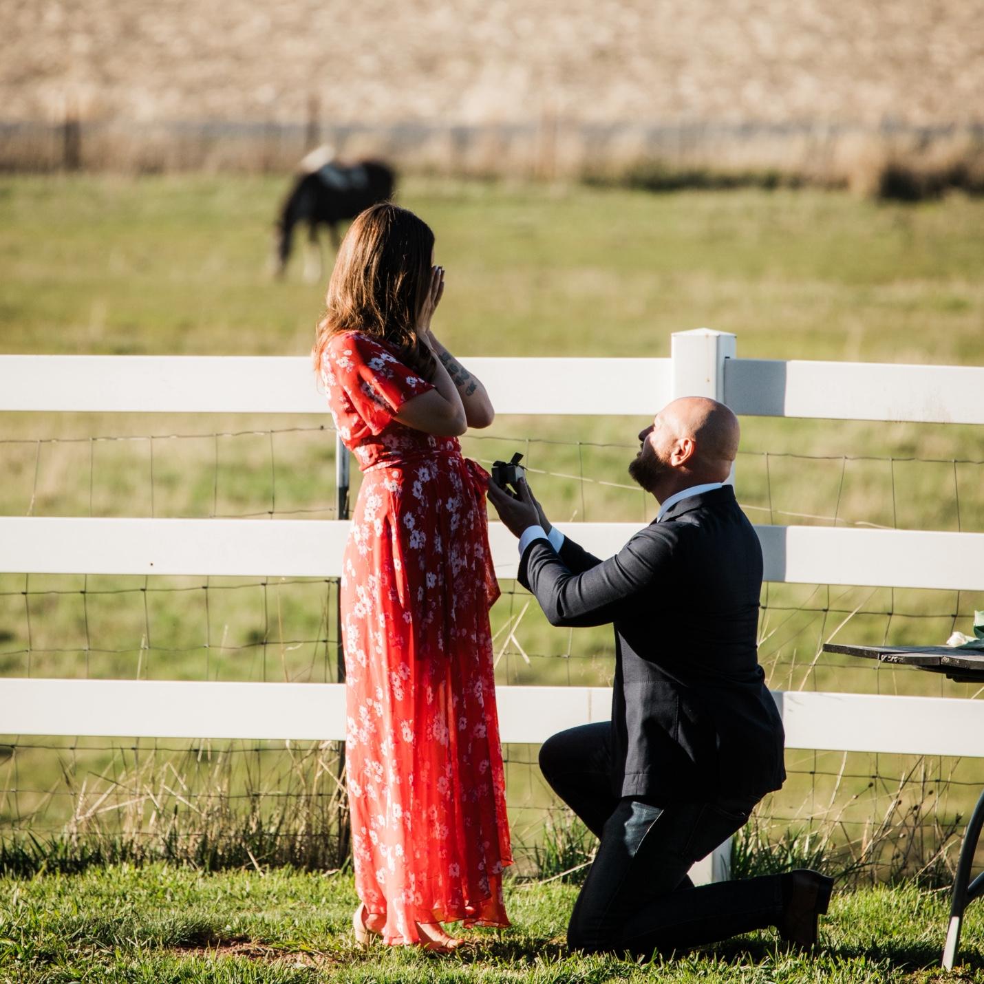 “Will you marry me?” “Yes!”