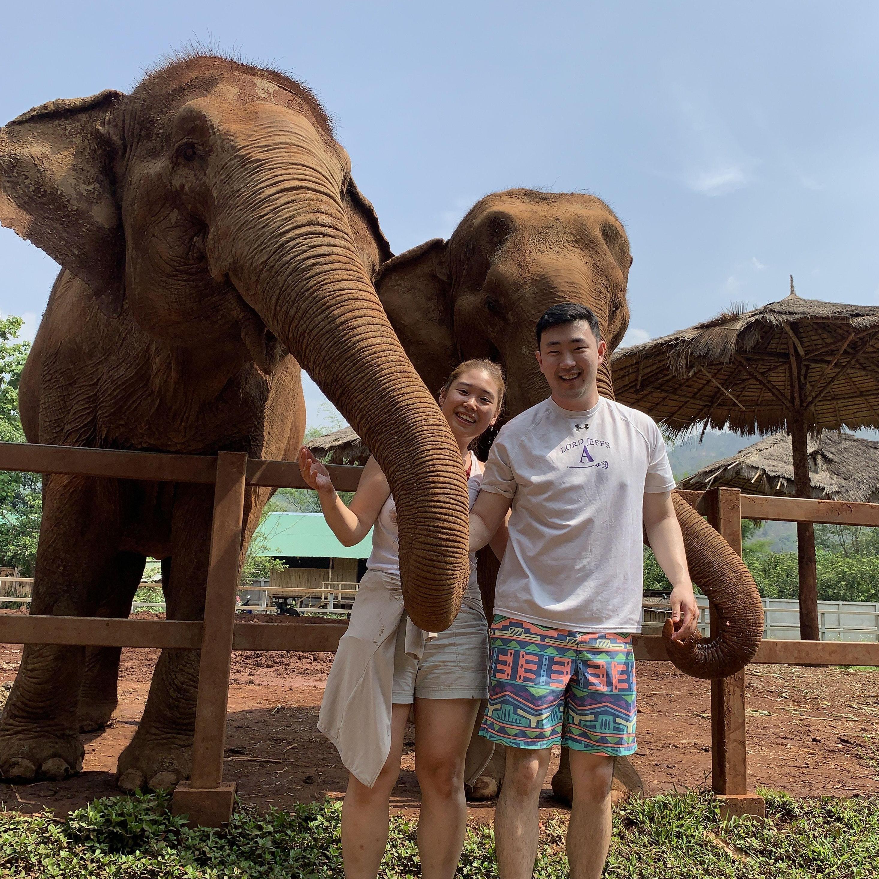 Post match trip to Thailand at an elephant sanctuary (2019).