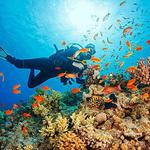 Scuba Diving