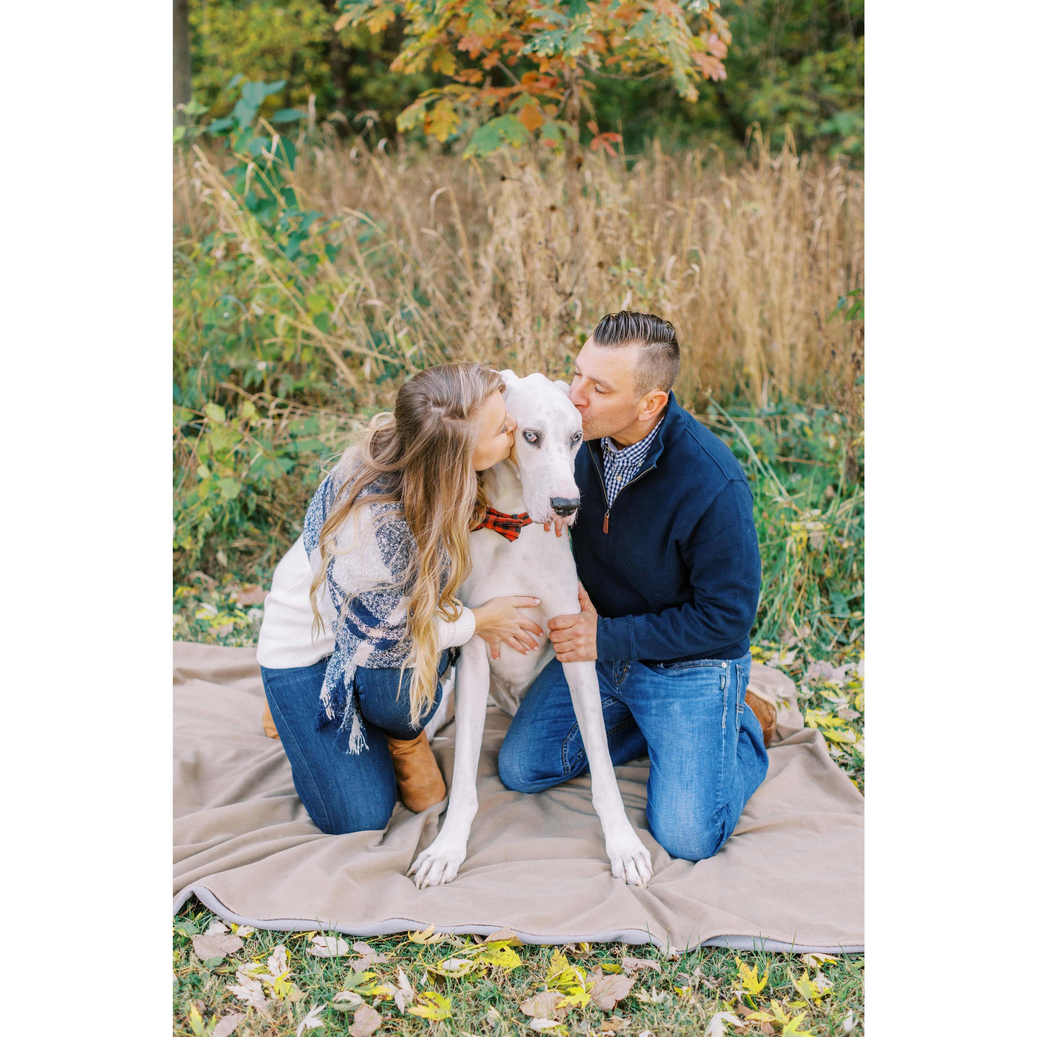 Our beloved boy, we miss him every day.