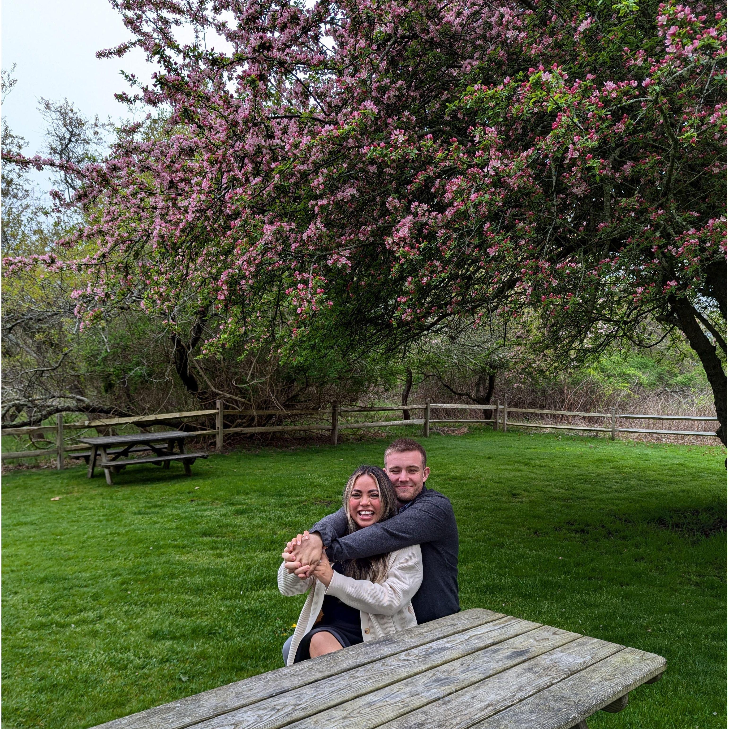 Springtime in Nantucket