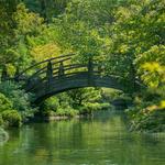 Fort Worth Botanic Garden