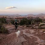 Captain Ahab Mountain Bike Trail