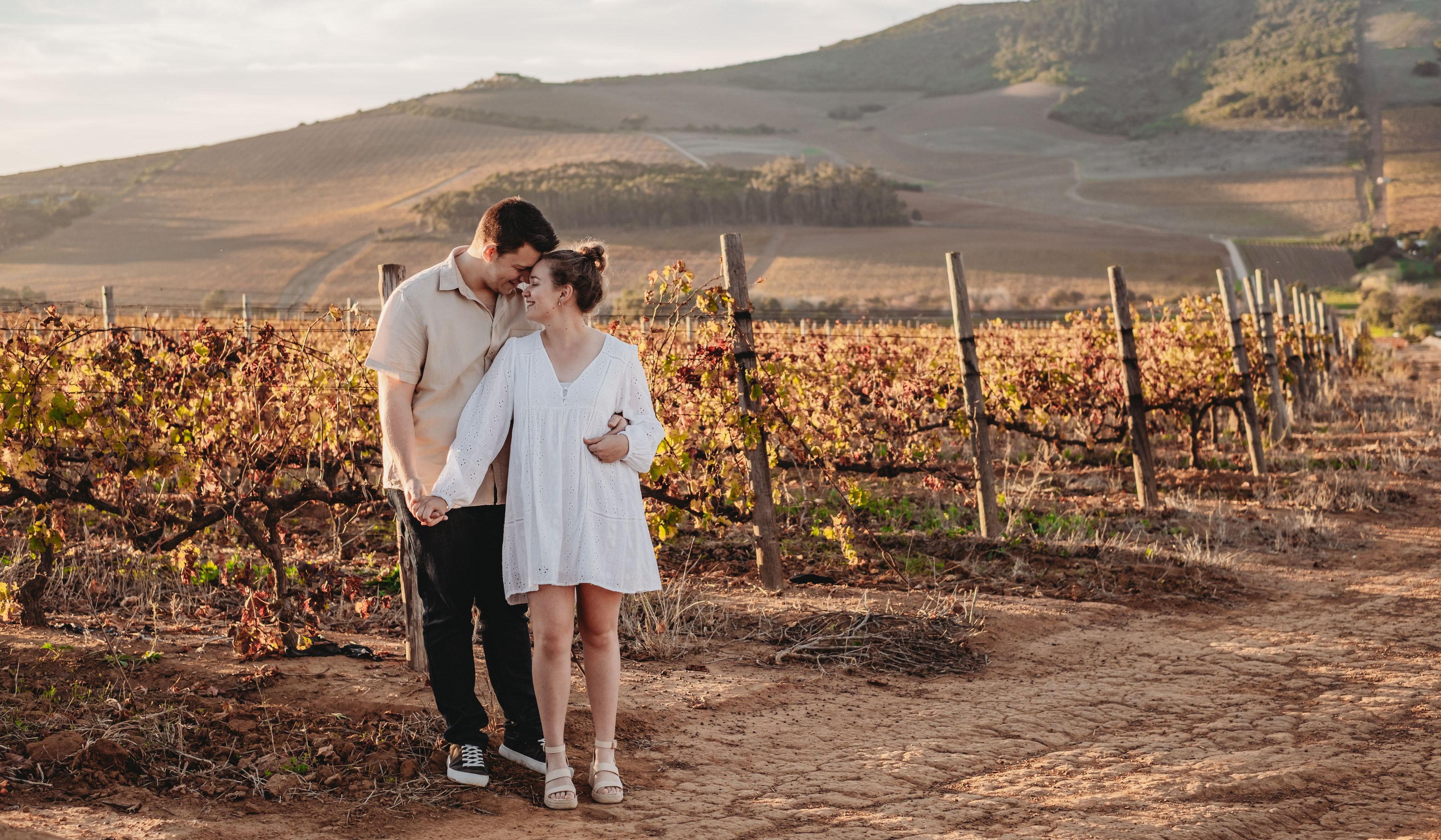 Hero Slideshow Image 3