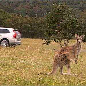 Our Rental Car in Australia