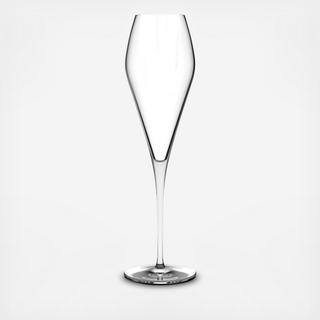 Fantasy Champagne Glass, Set of 2