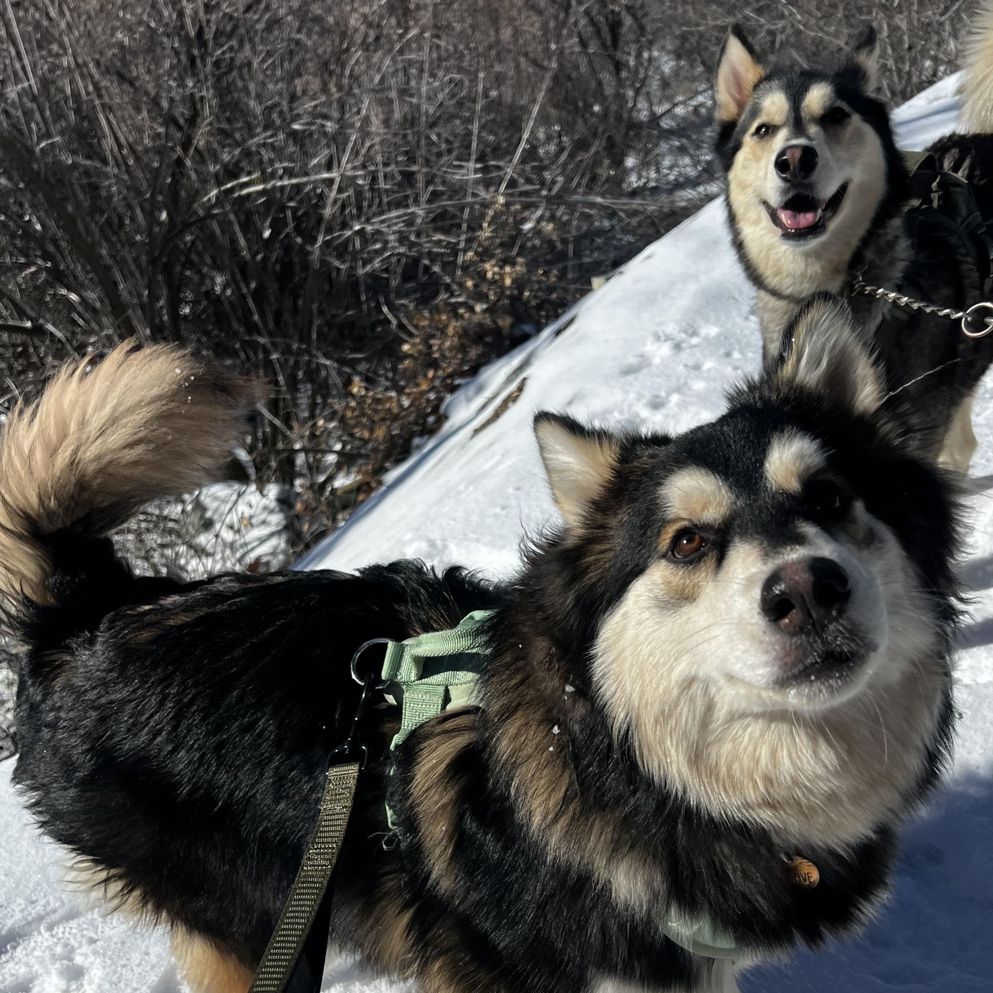 The girls on a trip to Oak Glen
