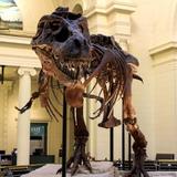 Field Museum