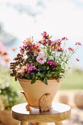 Leaf Footed Galestro Pot