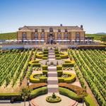 Domaine Carneros