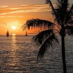 Mallory Square Sunset Celebration