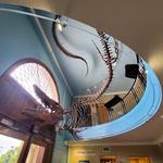 KU Natural History Museum