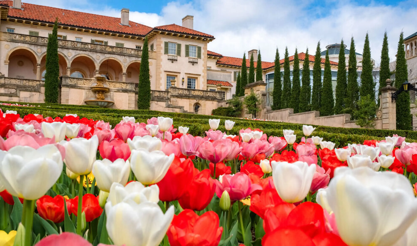 The Wedding Website of Julia Qiao and Austin Bower