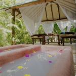 Los Colibríes Mayan Jungle Spa