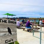 The Birds Café