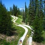 Winter Park Alpine Slide